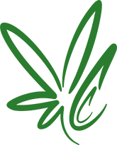 cannabis-clones-de-stecklinge-saemlinge-cannabispflanzen-bestellen-deutschland