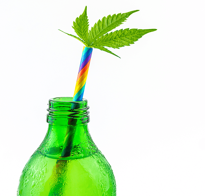 cannabis-infused-eistee-rezept-cannabis-clones-dein-shop-um-stecklinge-zu-kaufen