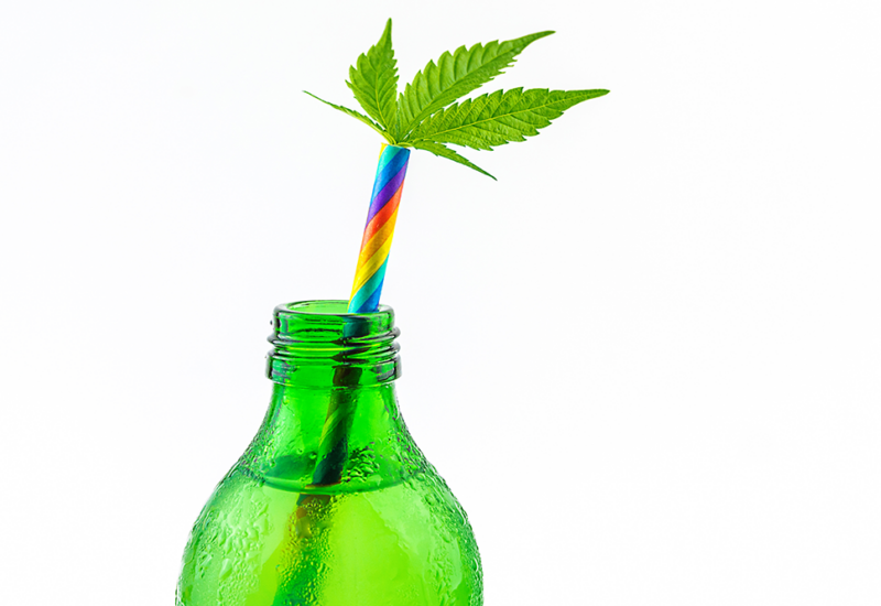cannabis-infused-eistee-rezept-cannabis-clones-dein-shop-um-stecklinge-zu-kaufen