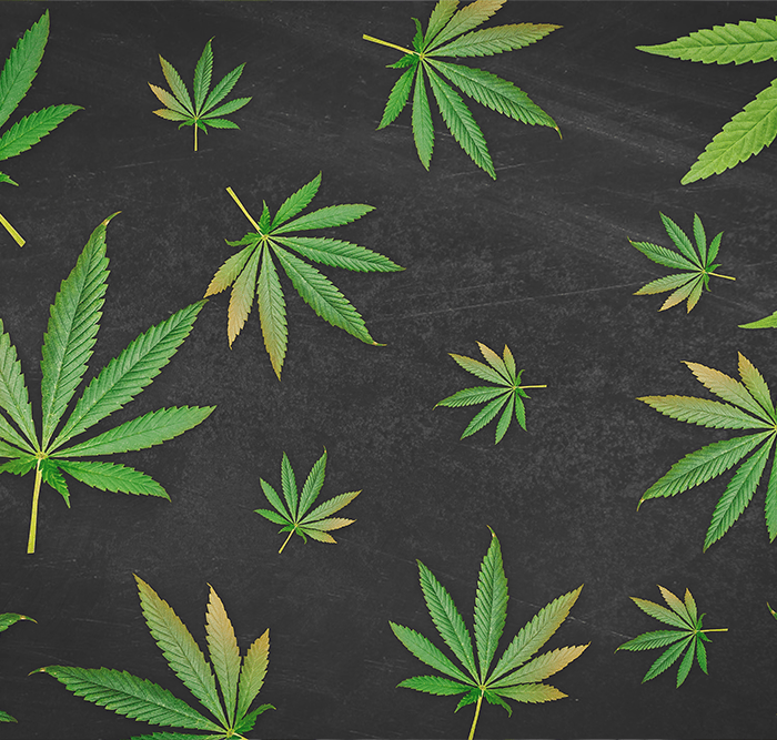 cannabislegalisierung-deutschland-ein-erster-überblick