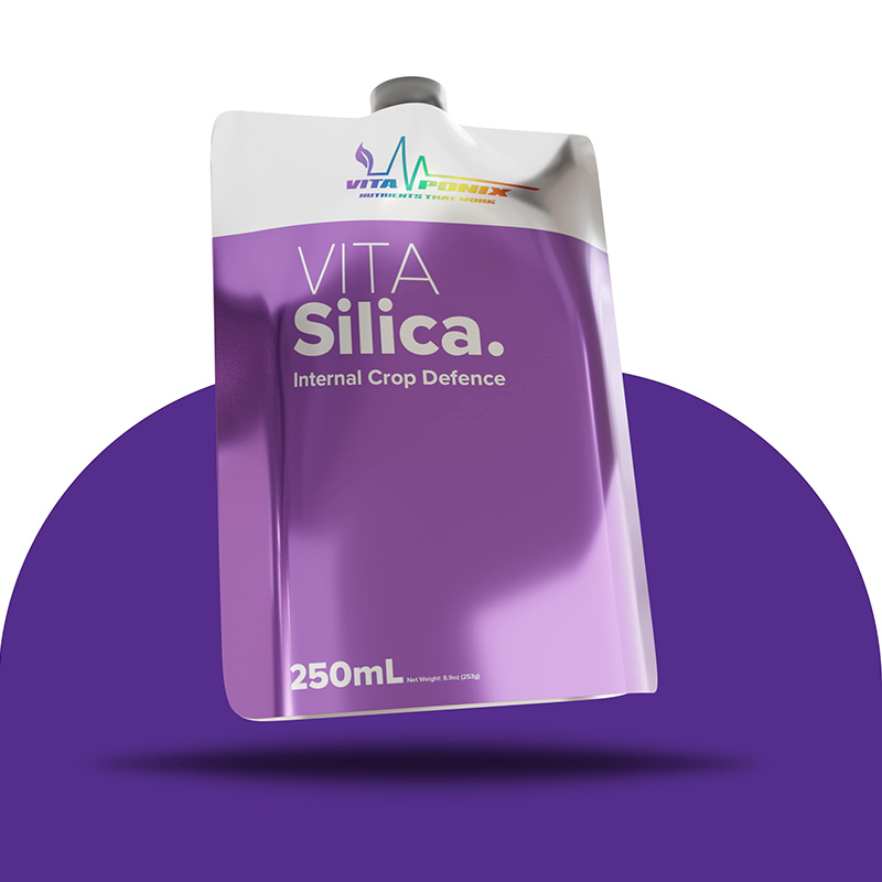VitaSilica-250ml-Vitaponix Premium Dünger